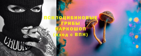 гашик Алексеевка