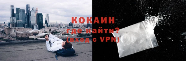 гашик Алексеевка