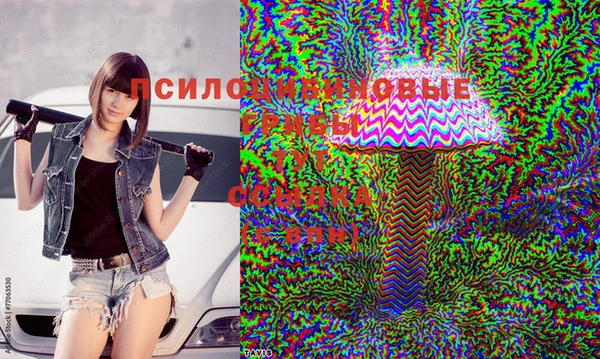 гашик Алексеевка