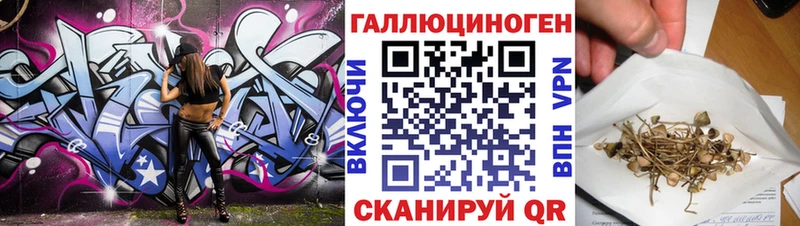 Галлюциногенные грибы MAGIC MUSHROOMS  Сясьстрой 